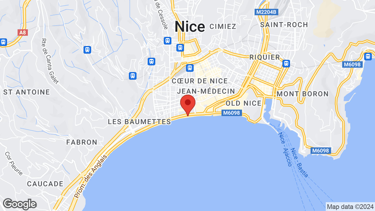 Google map