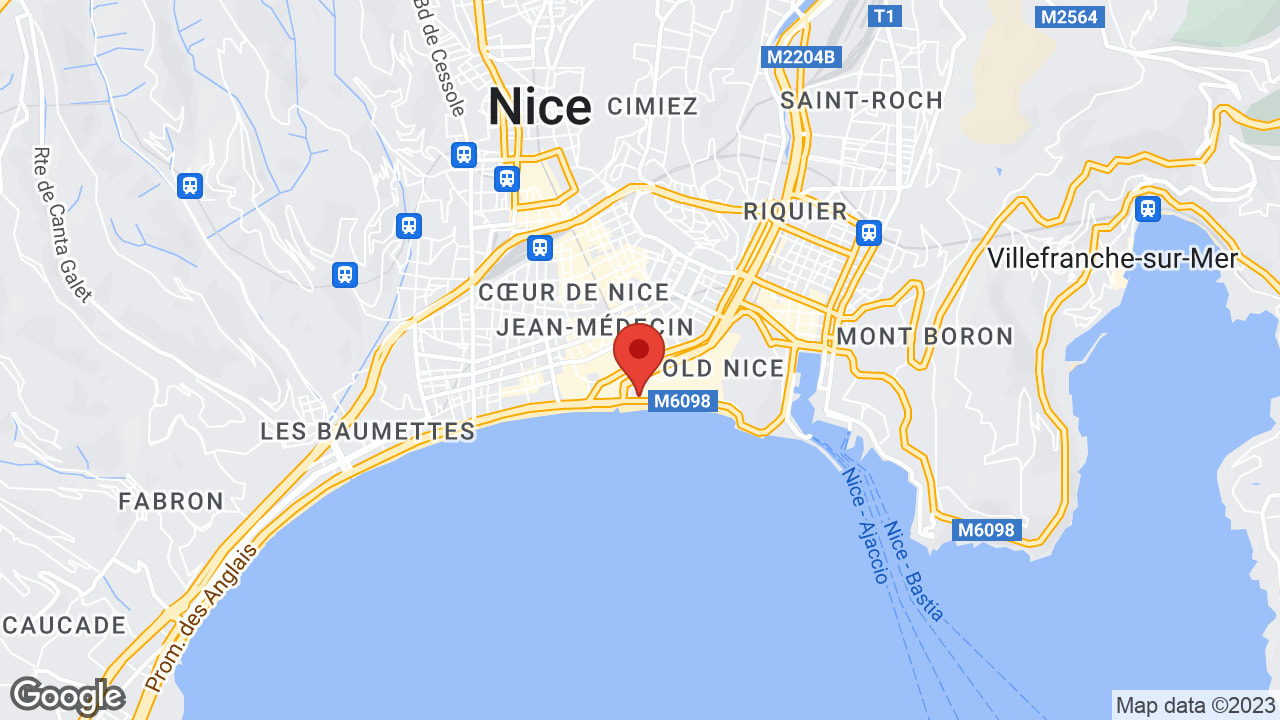 Google map