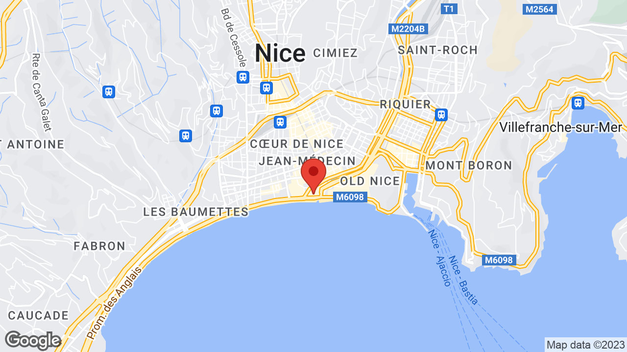 Google map