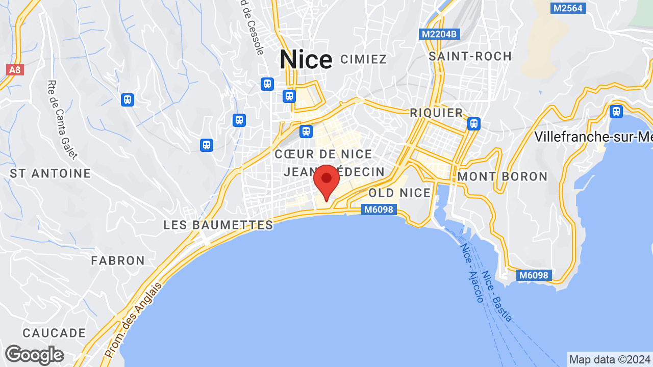 Google map
