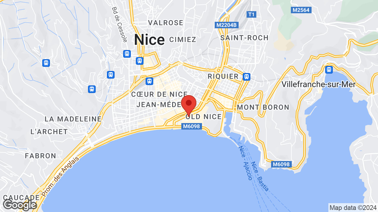 Google map