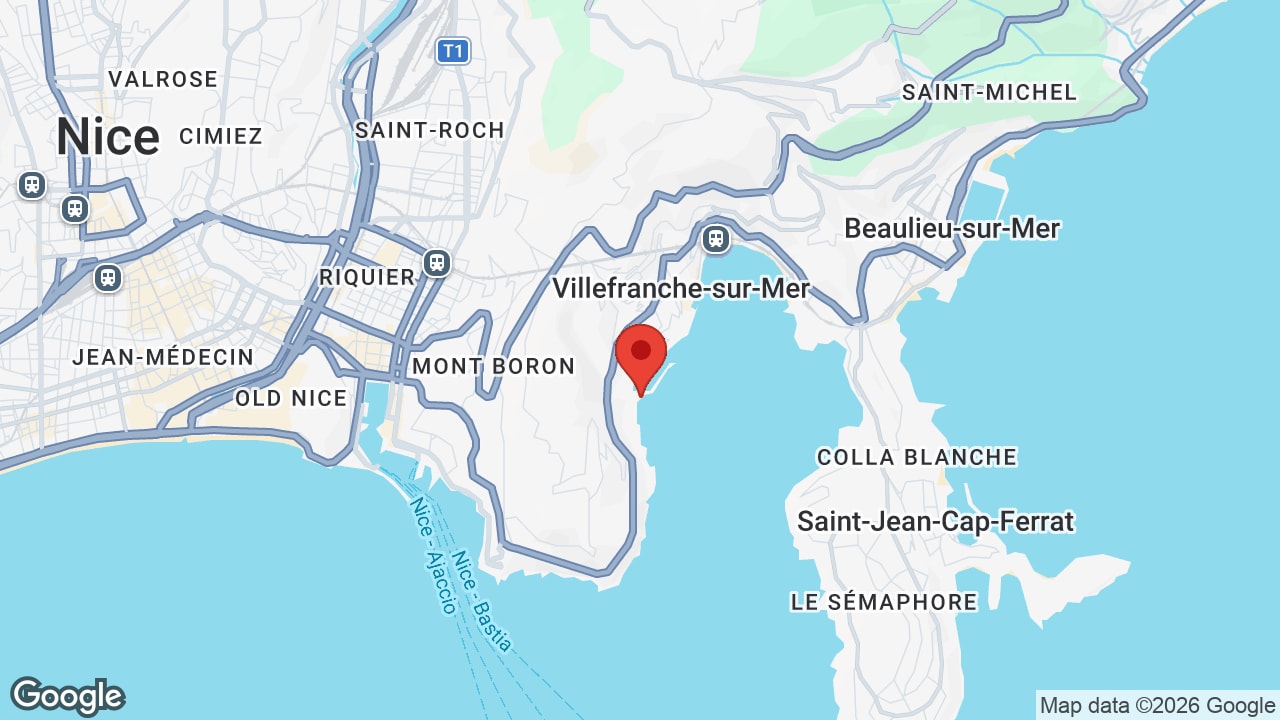 Google map