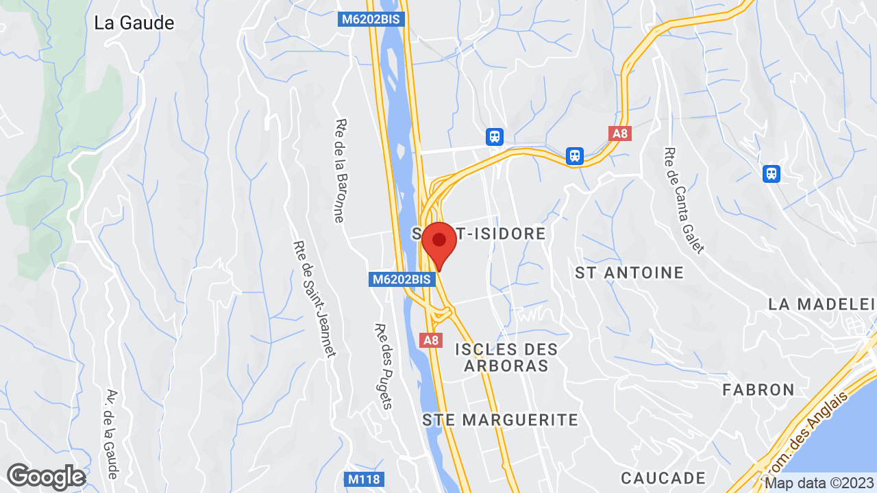 Google map