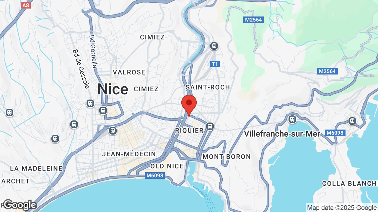 Google map