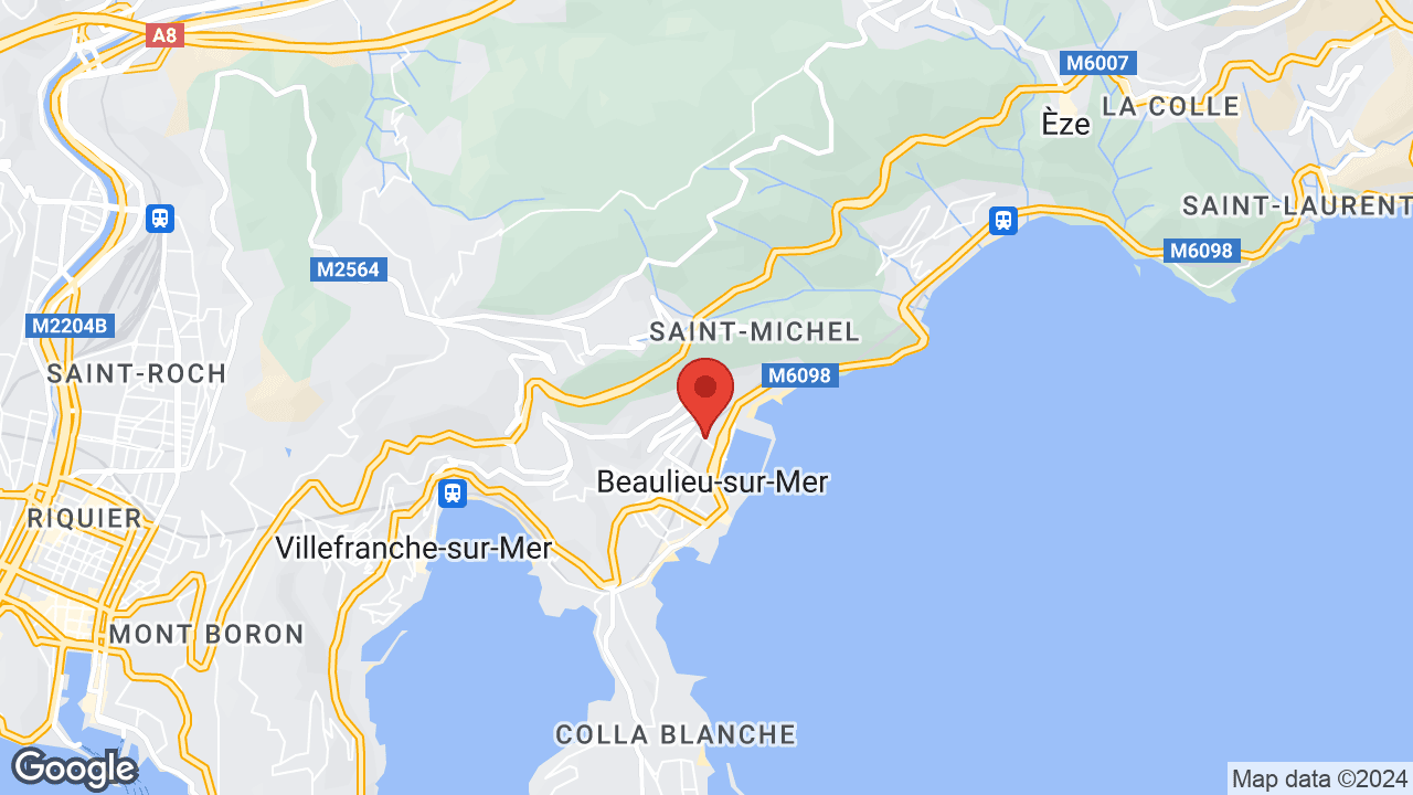 Google map