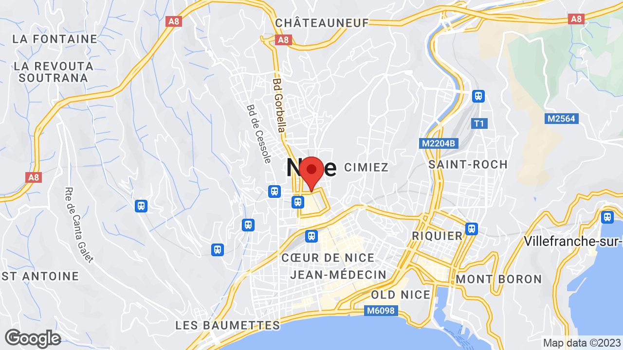Google map
