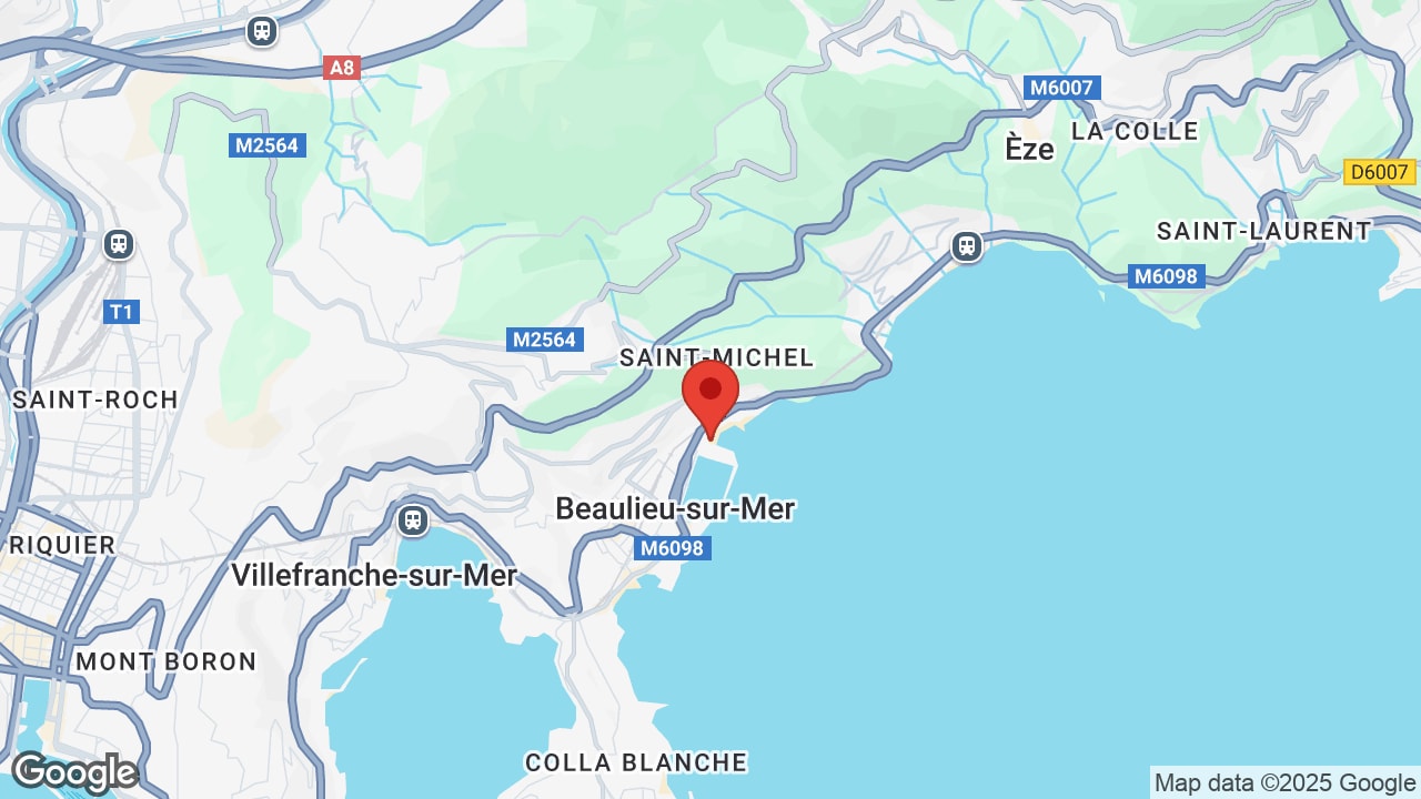Google map