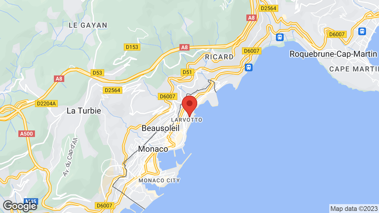 Google map