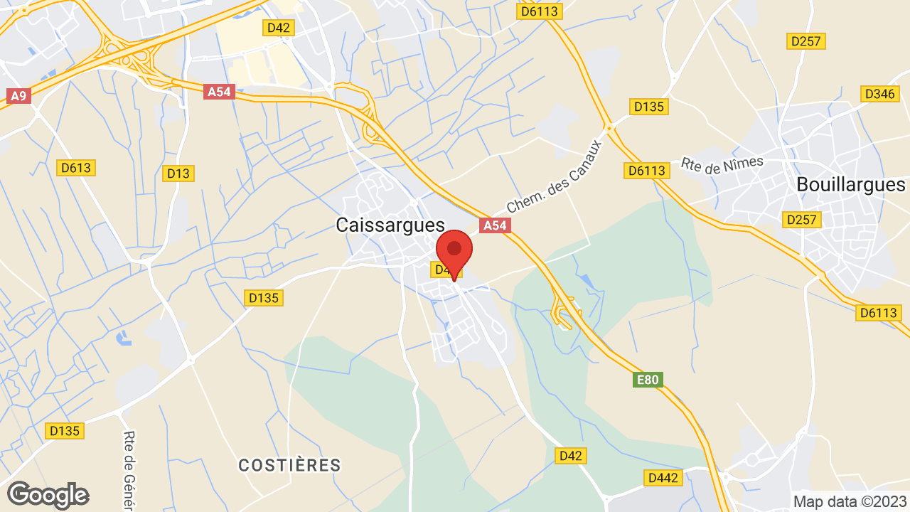 Google map