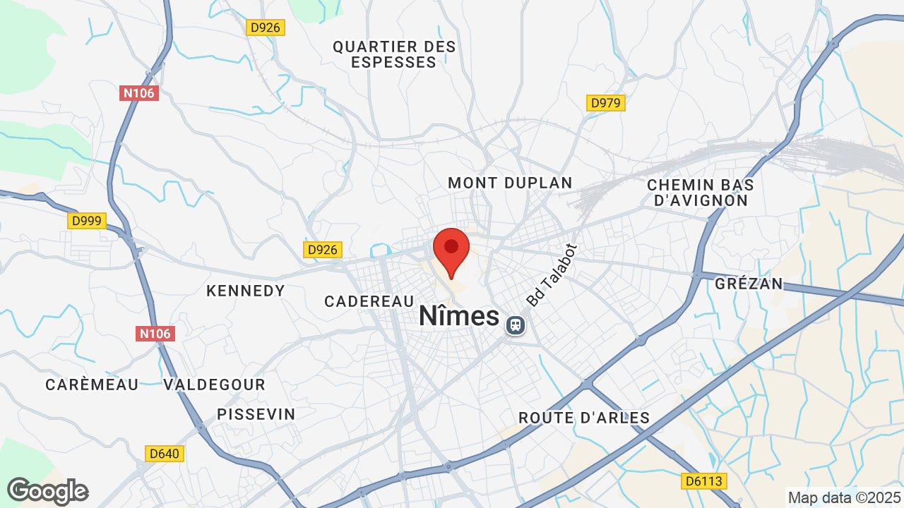 Google map