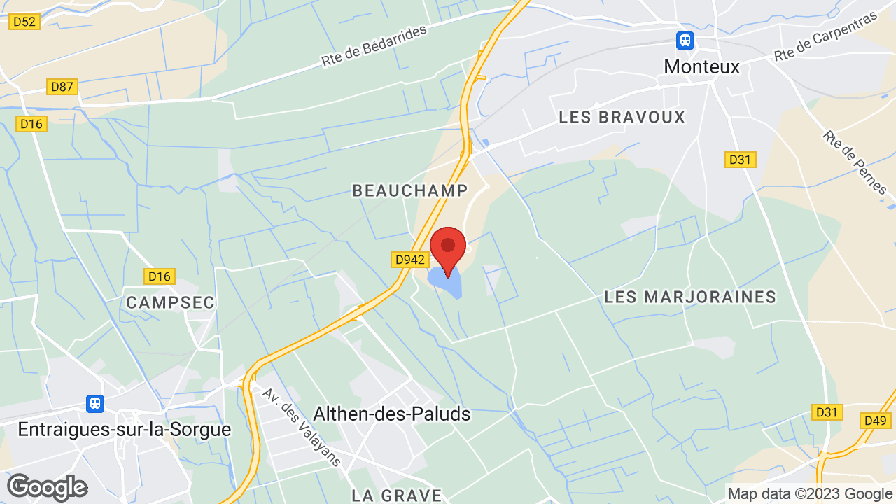 Google map
