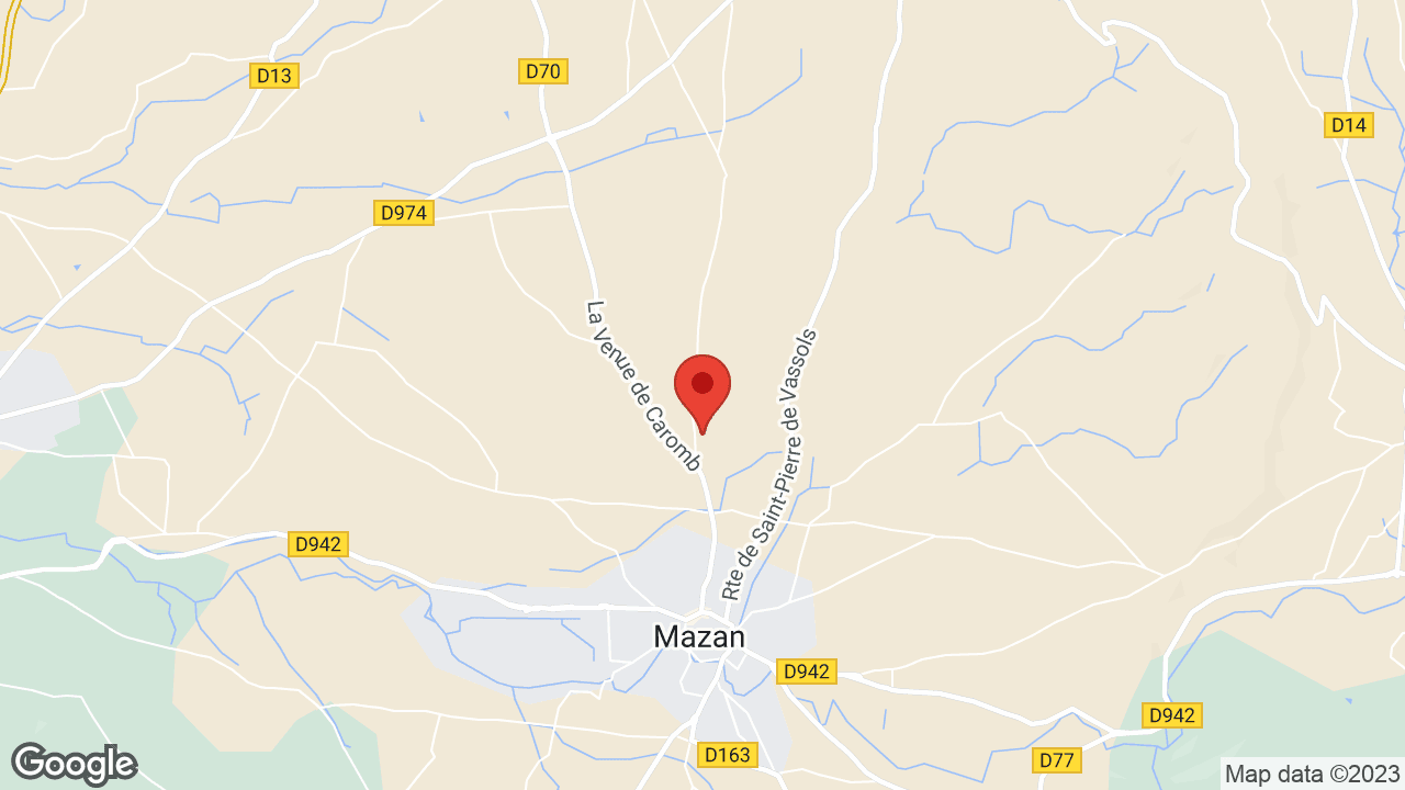 Google map