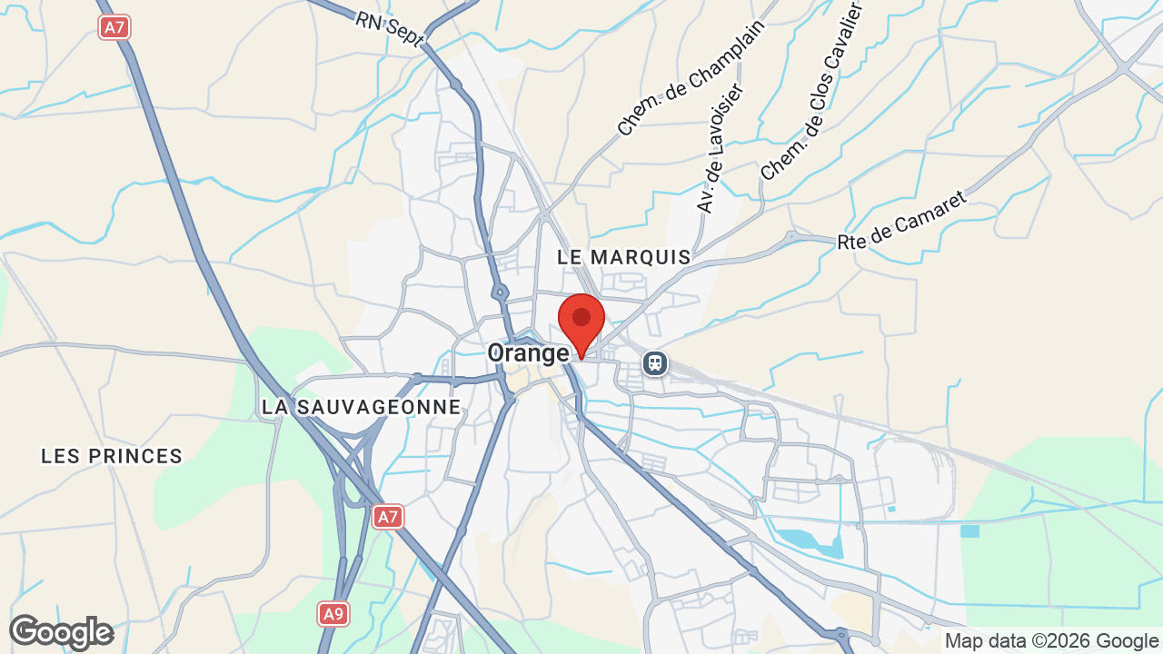 Google map