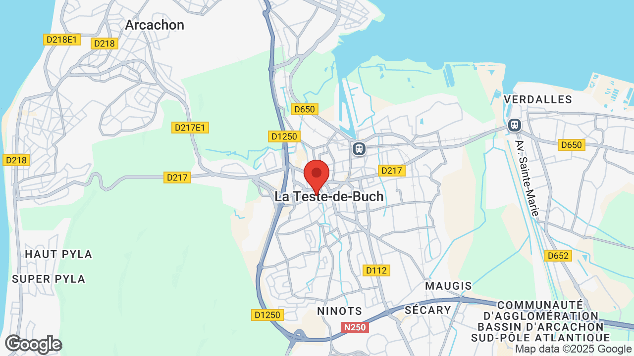 Google map