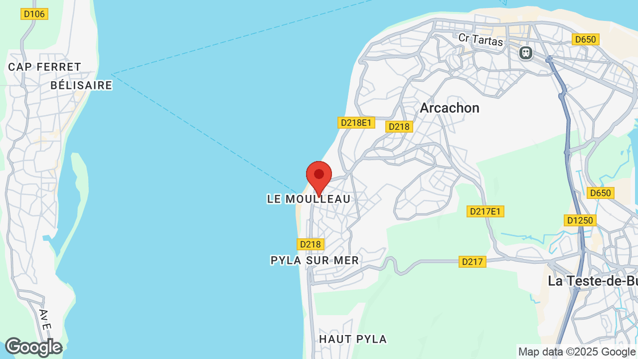 Google map