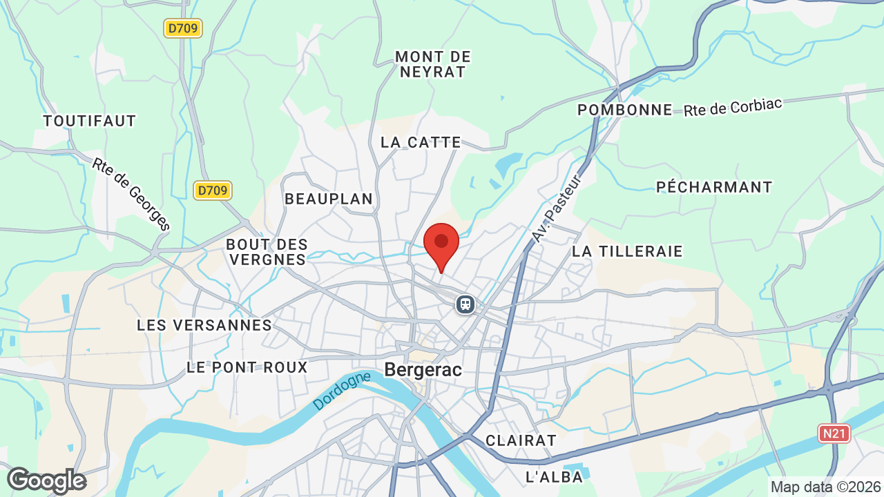 Google map
