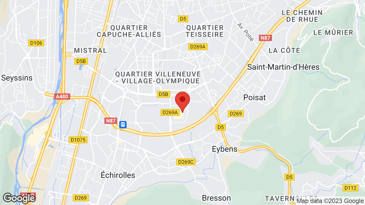 Google map