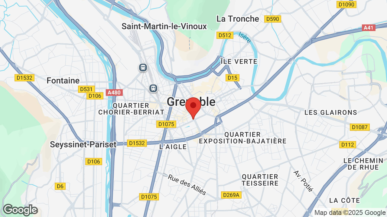 Google map
