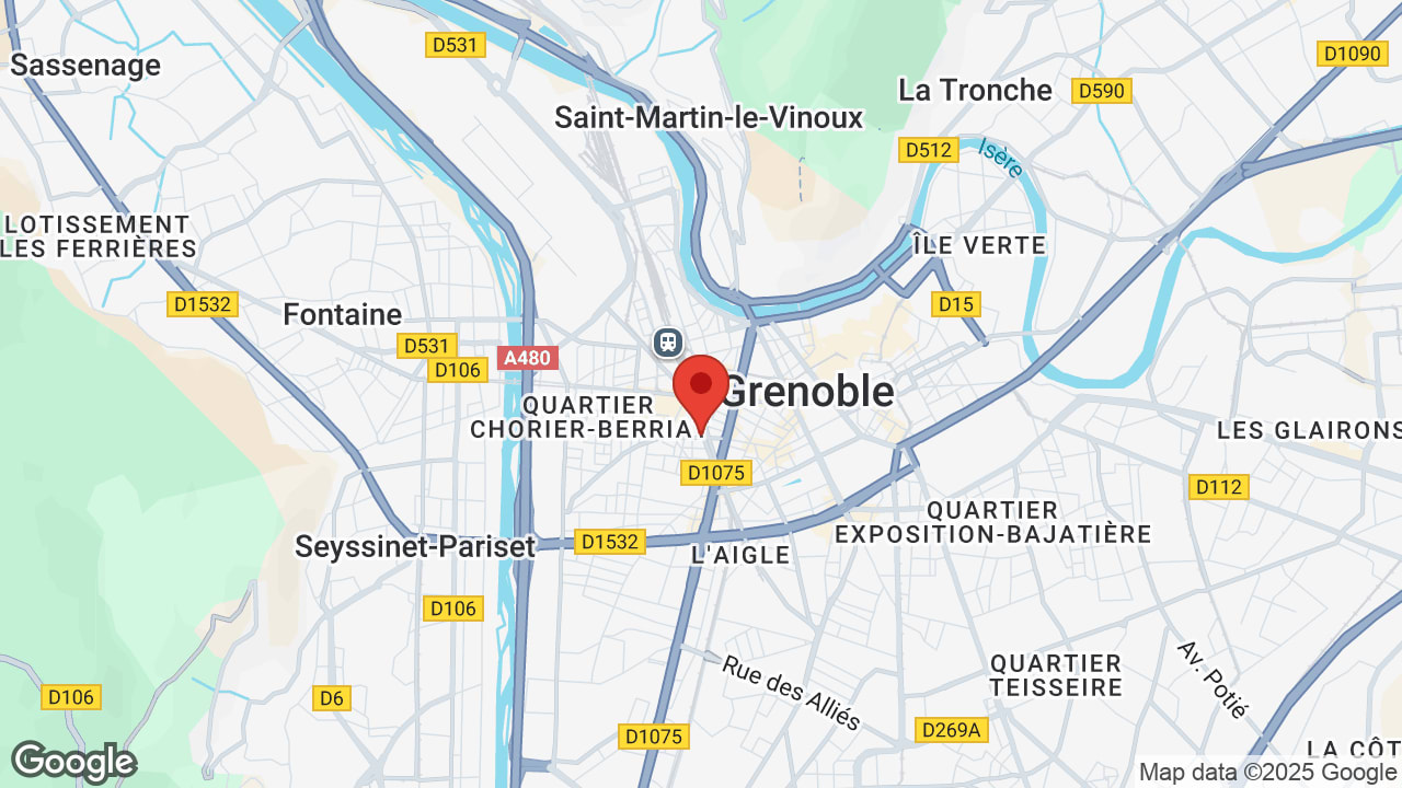 Google map