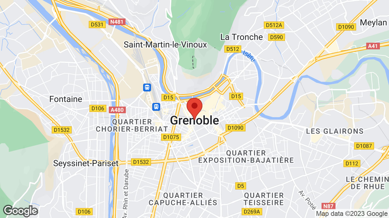 Google map
