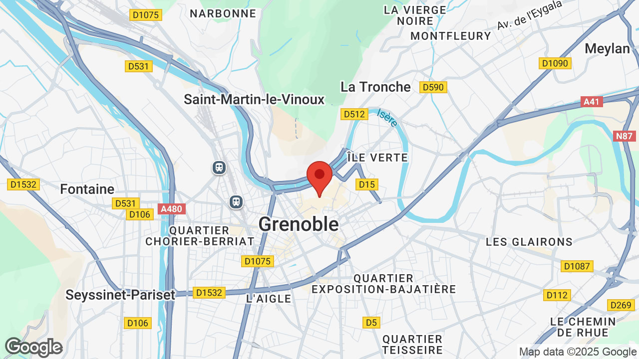 Google map
