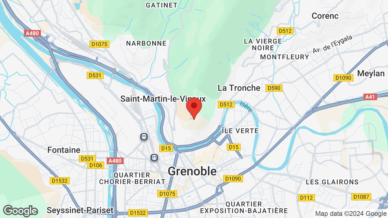 Google map
