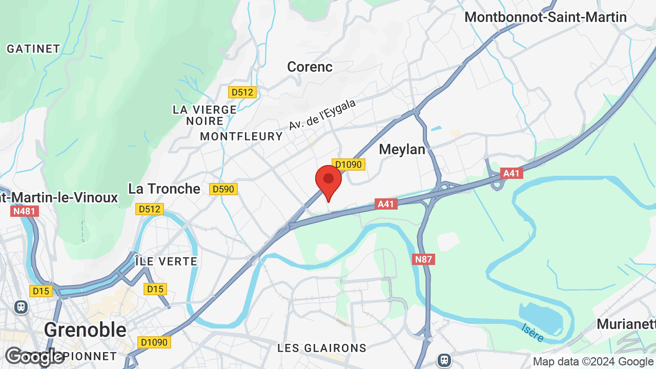 Google map