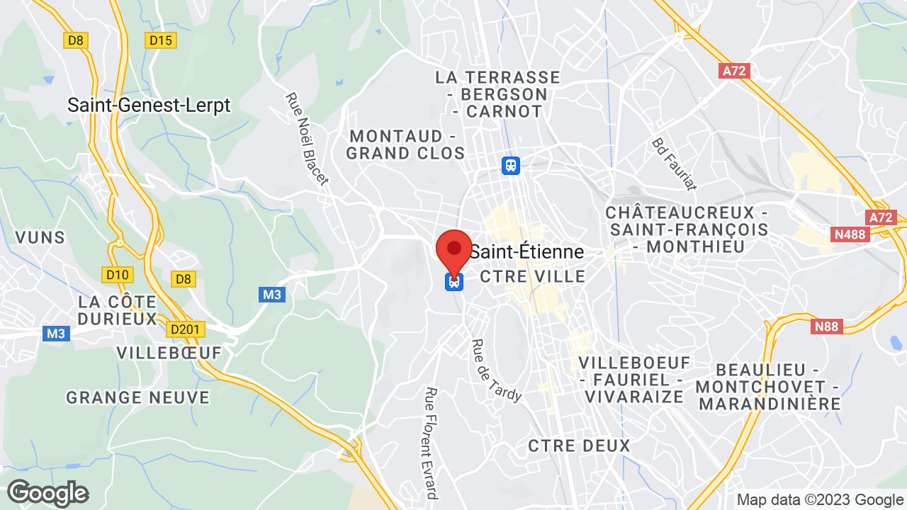 Google map