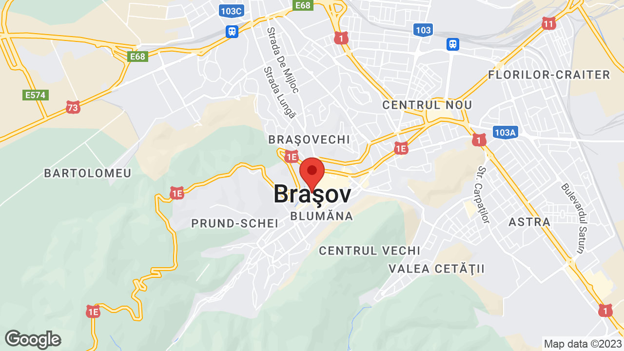 Google map