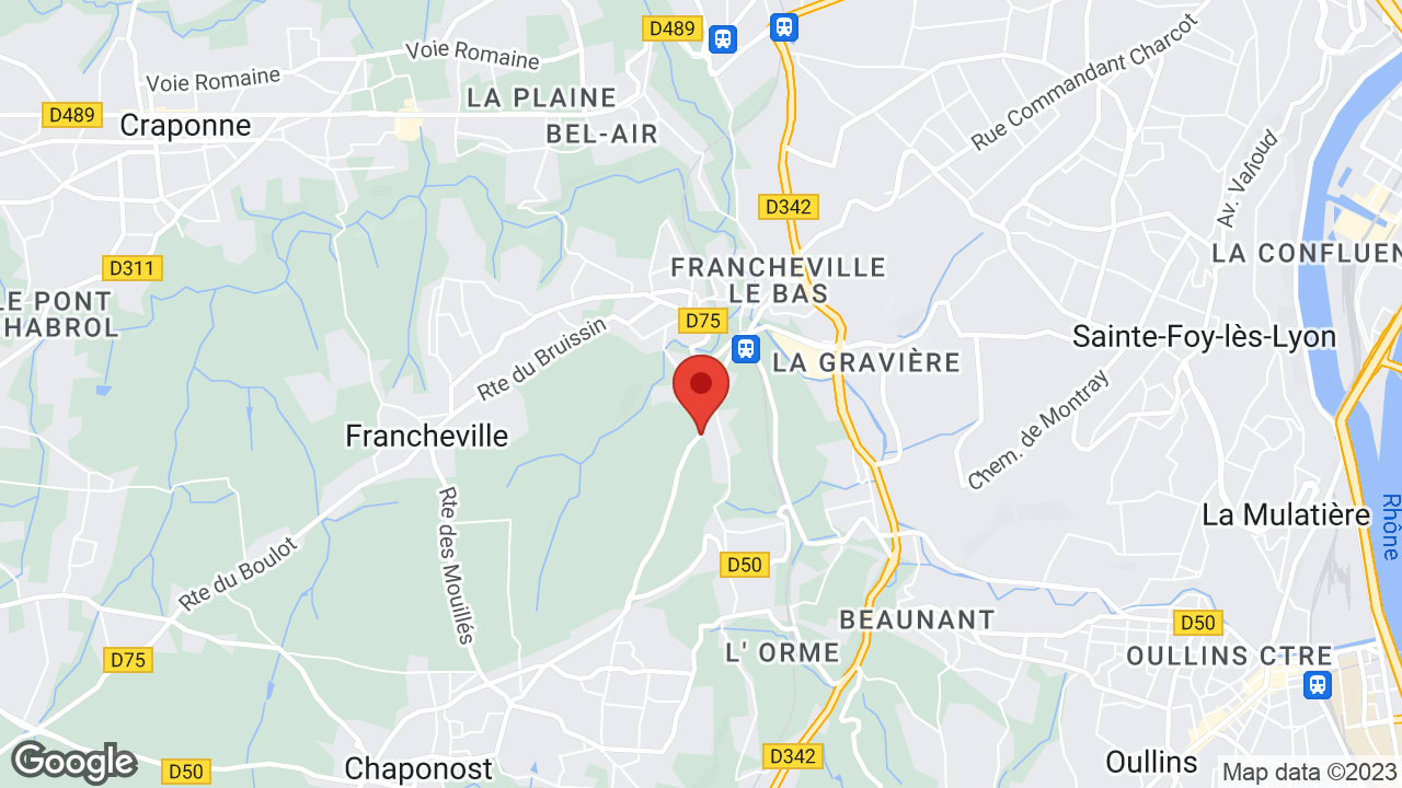 Google map