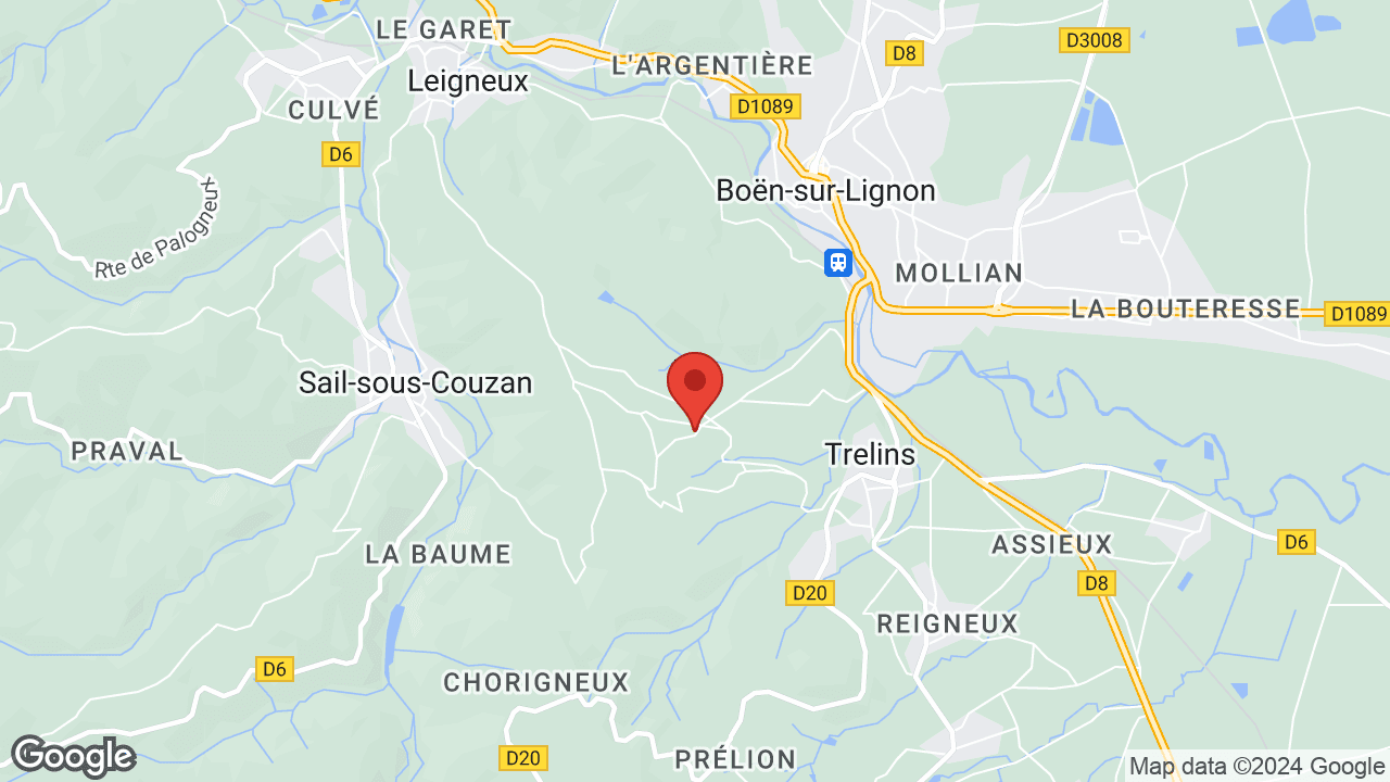 Google map
