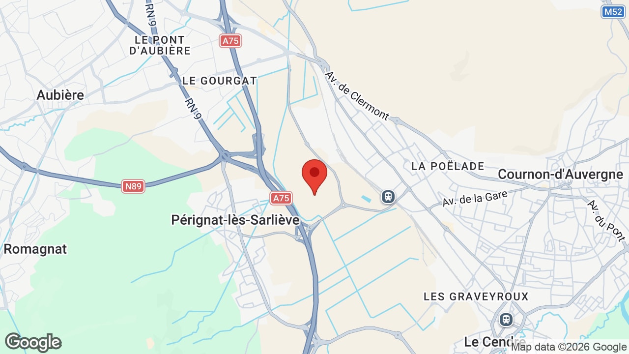 Google map