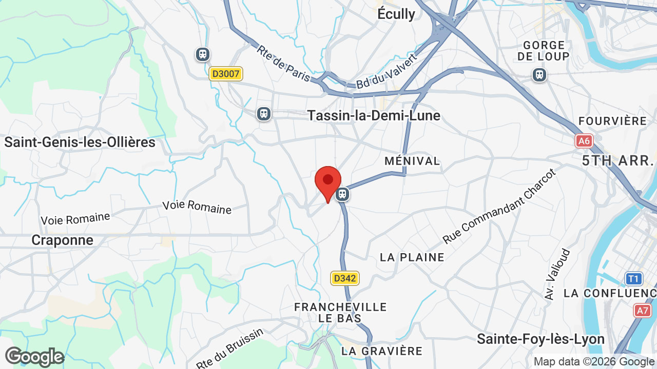 Google map