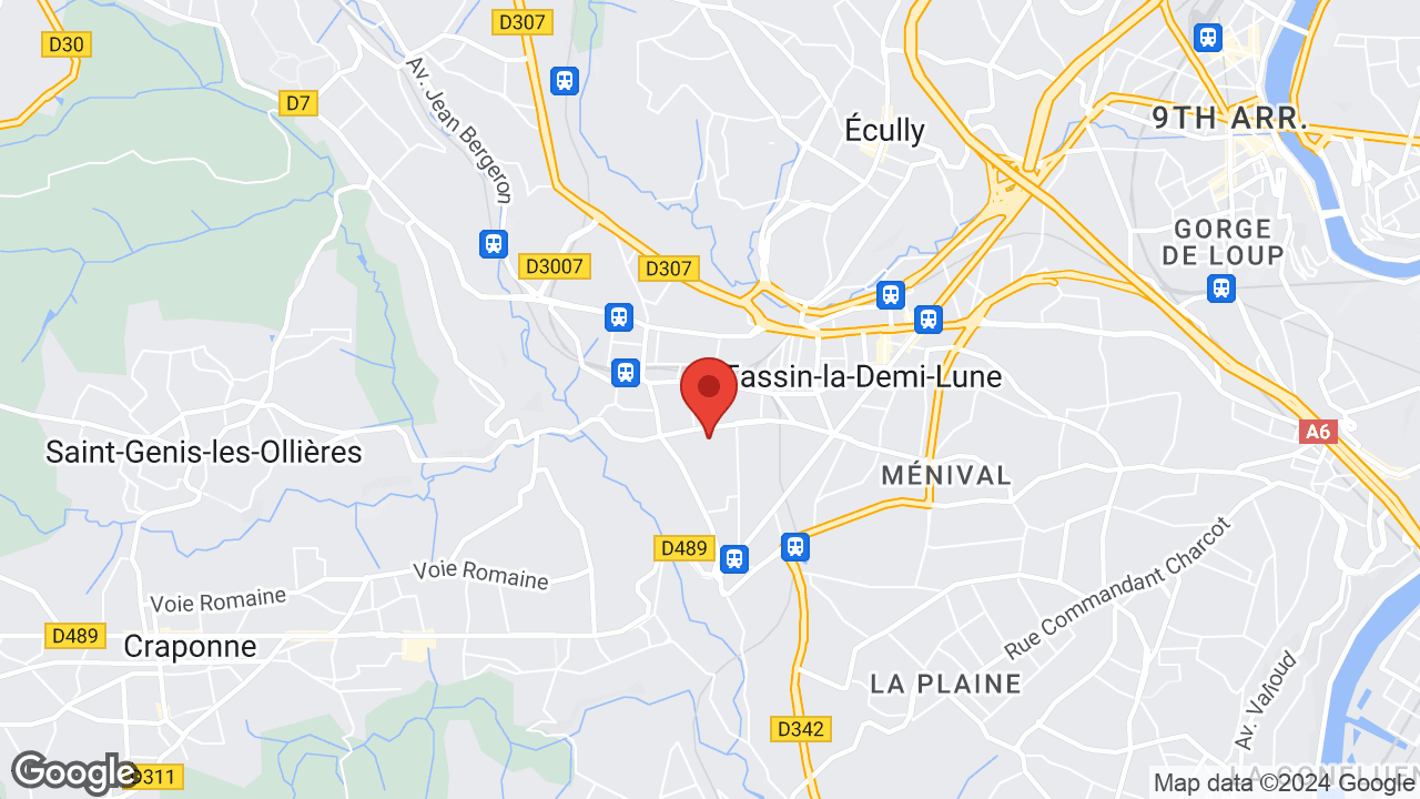 Google map
