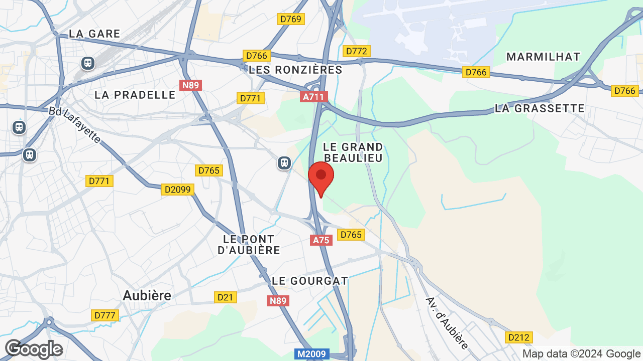 Google map