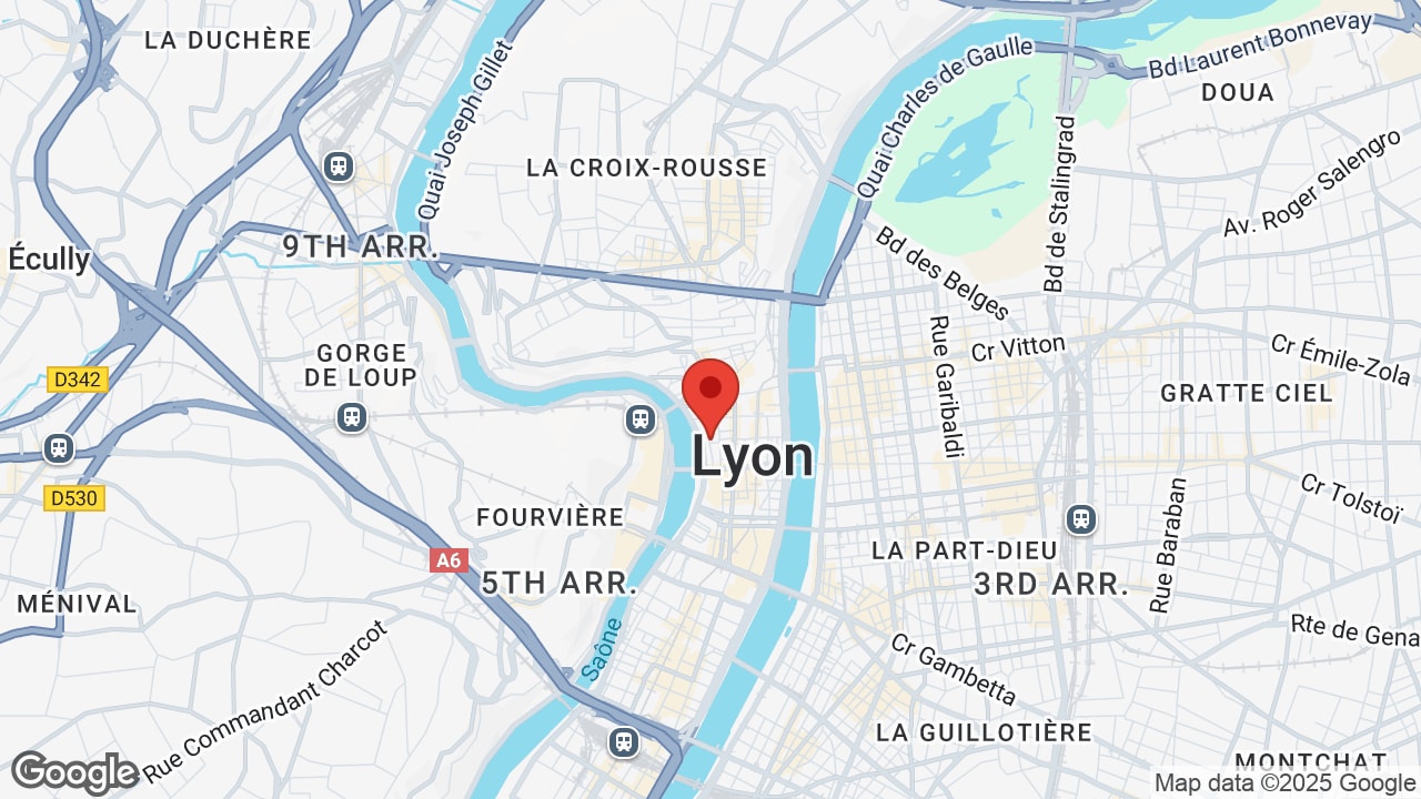 Google map