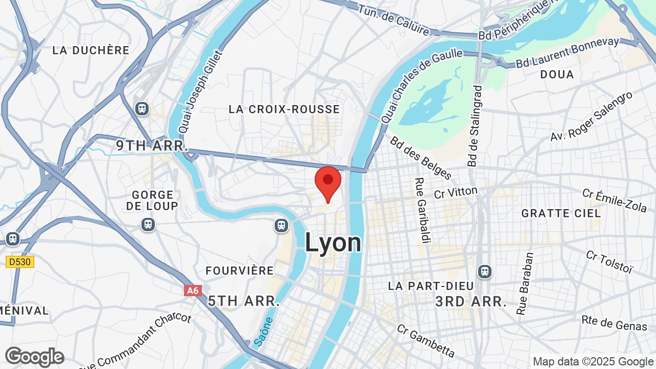 Google map