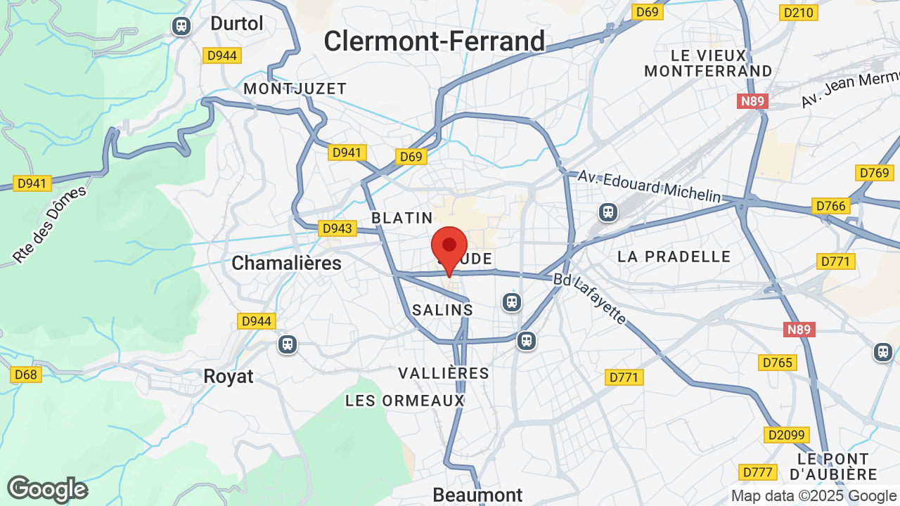 Google map