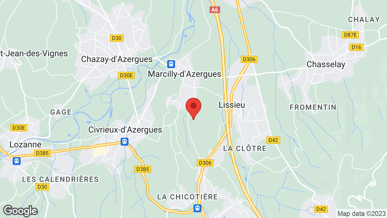 Google map