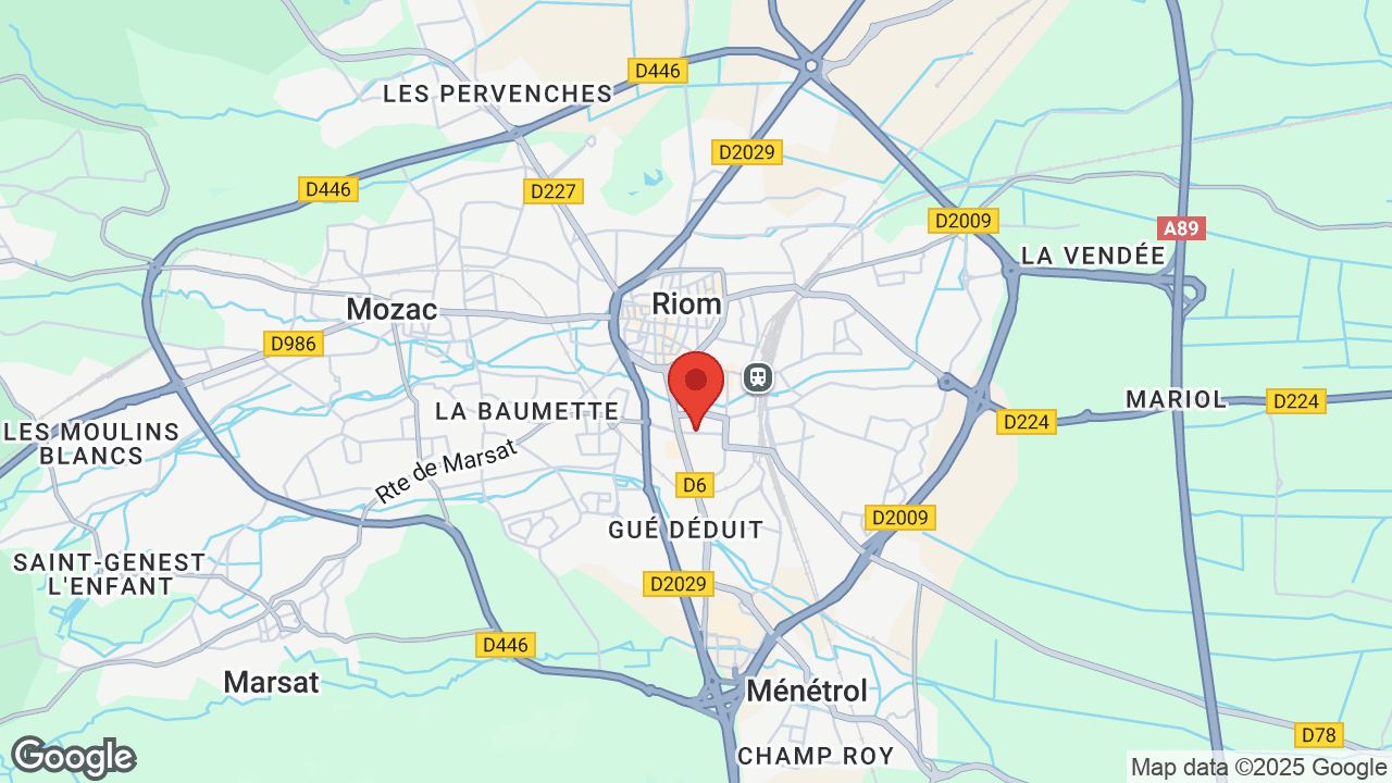 Google map