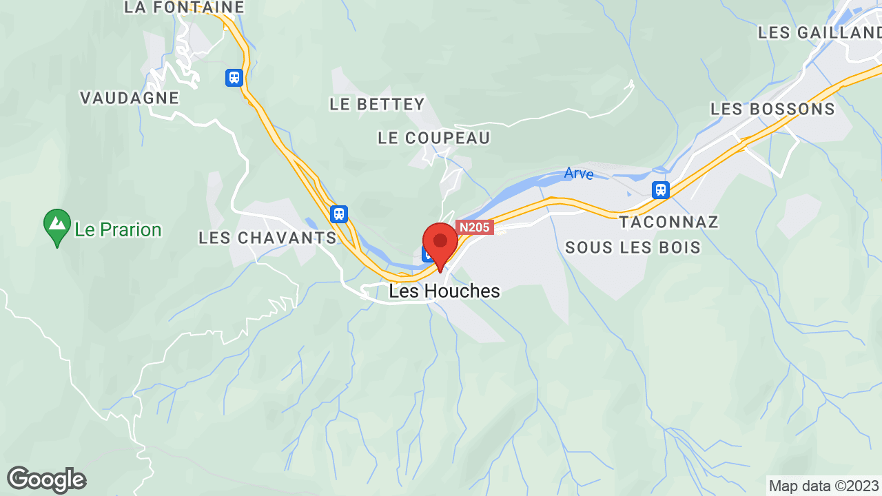 Google map