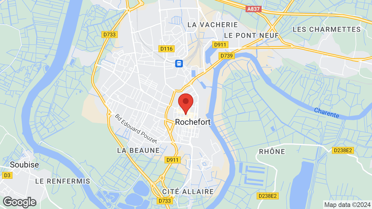Google map