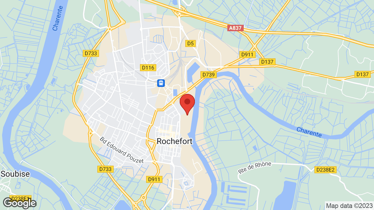 Google map