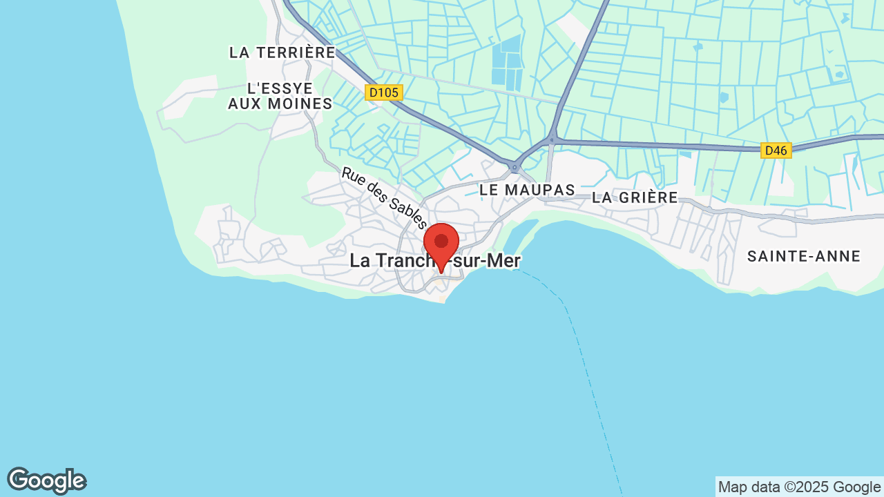 Google map