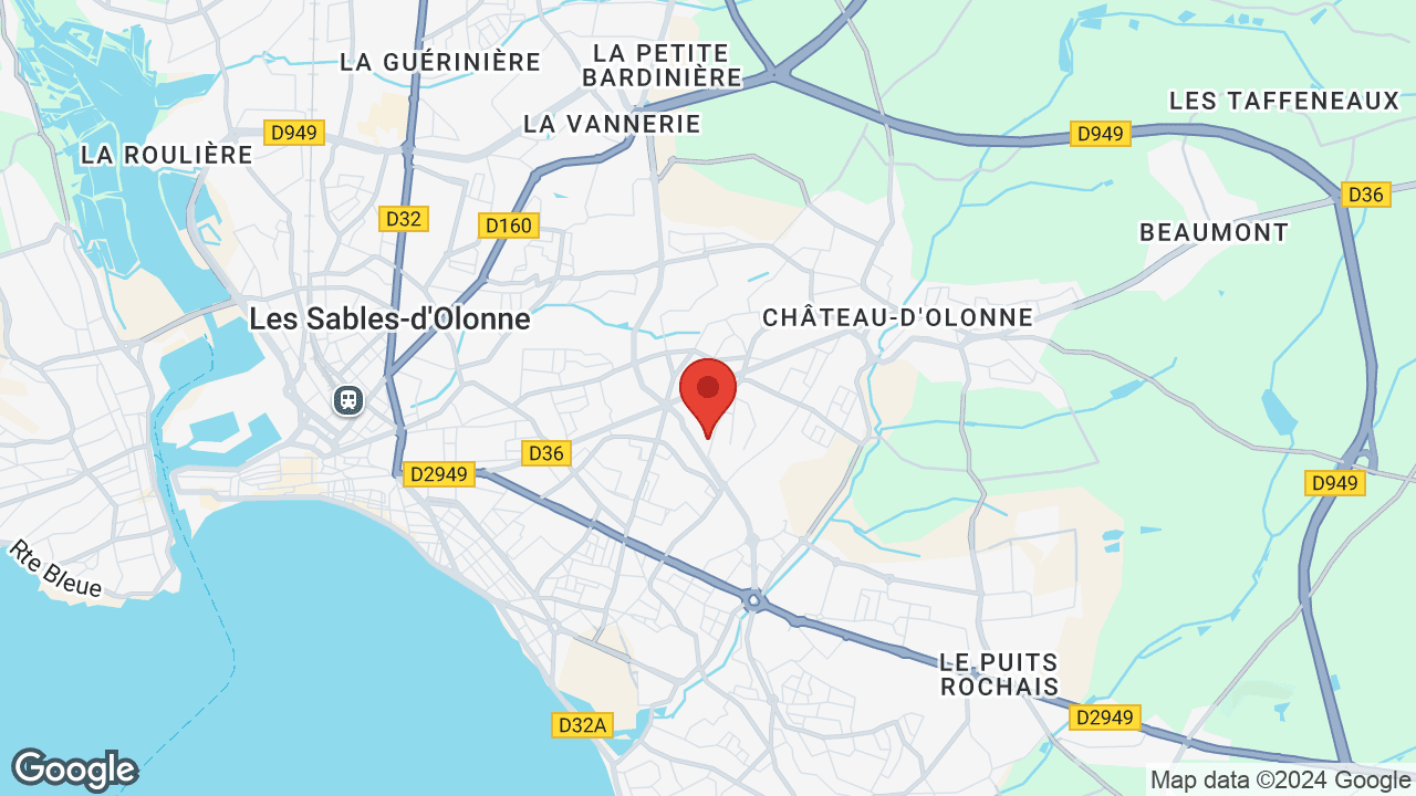 Google map