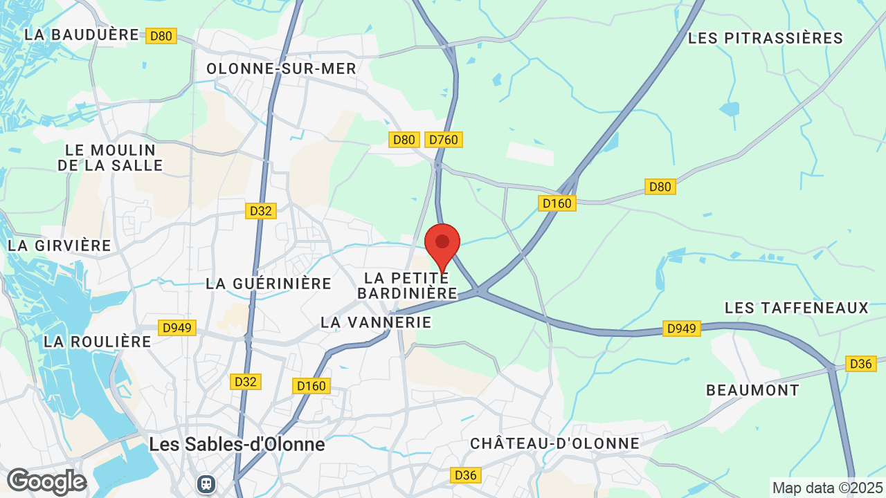 Google map