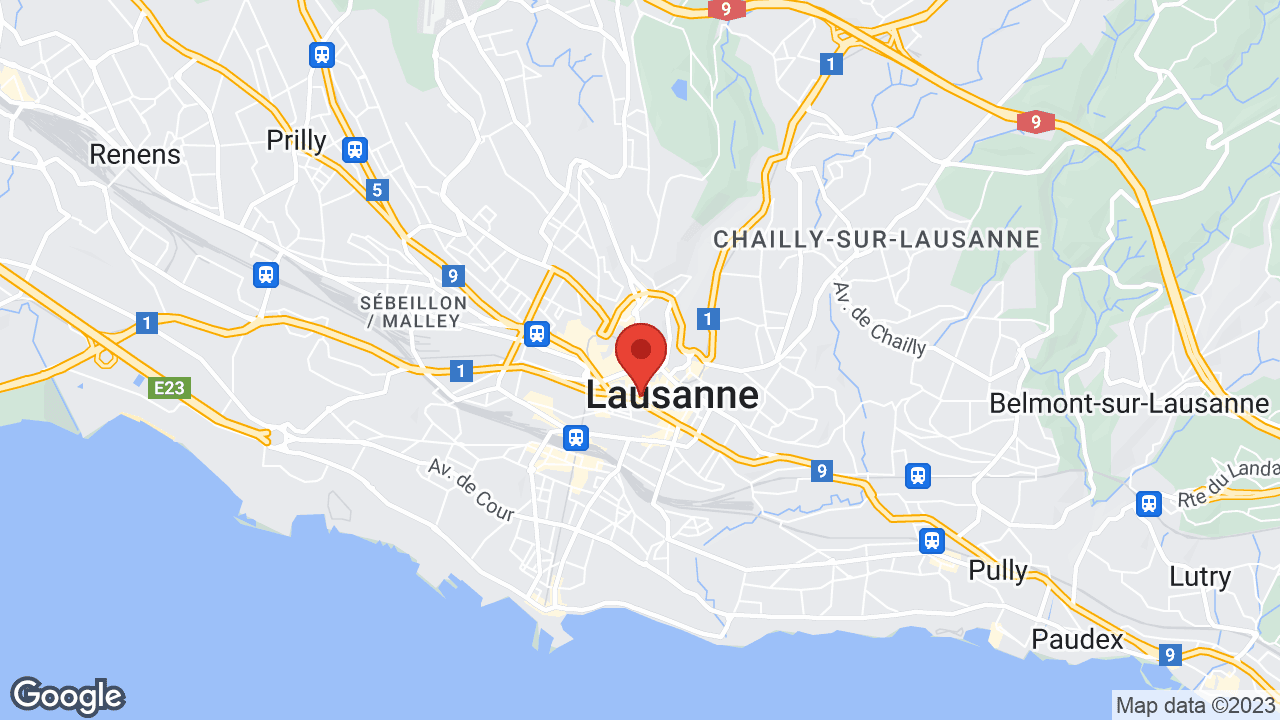 Google map