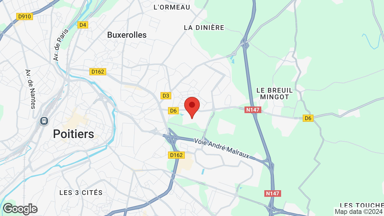 Google map