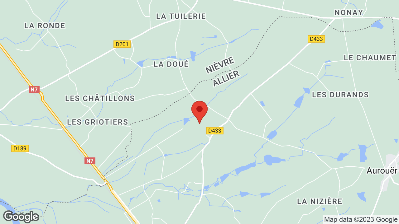 Google map