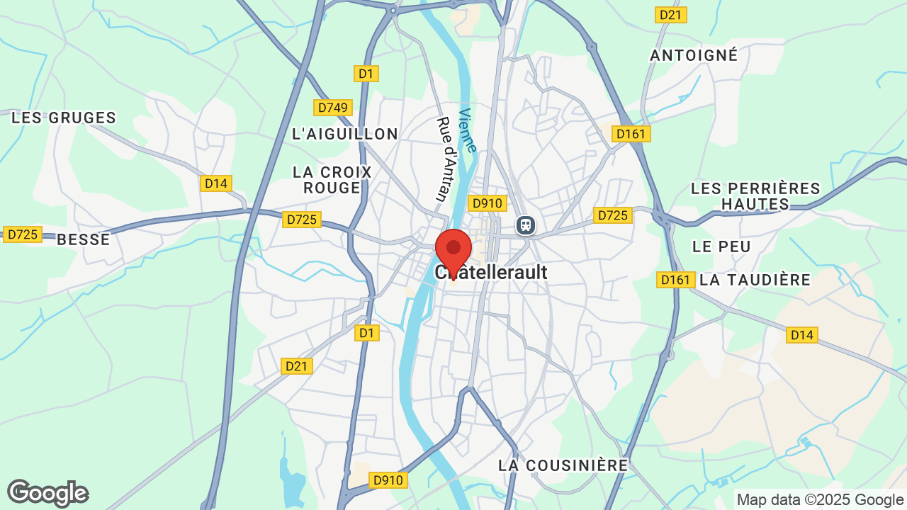 Google map